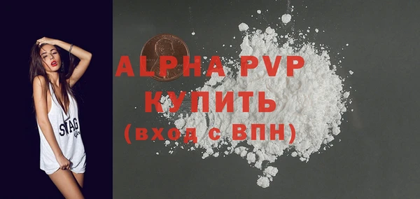 СК Гусь-Хрустальный