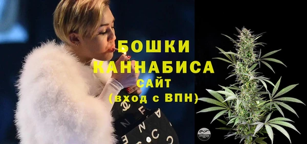 СК Гусь-Хрустальный